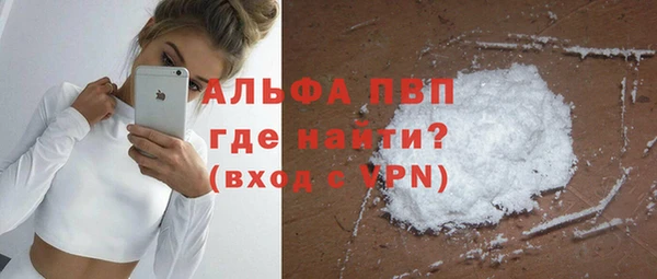 прущие грибы Приозерск