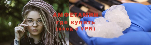 прущие грибы Приозерск