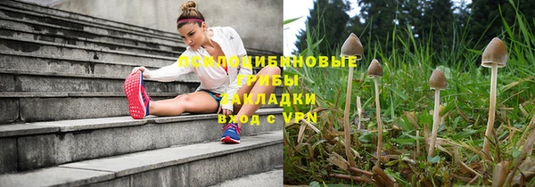 молекула духа Пролетарск