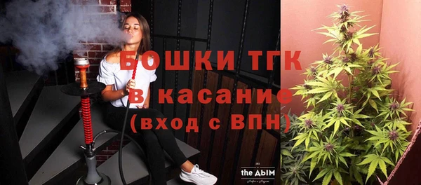 прущие грибы Приозерск