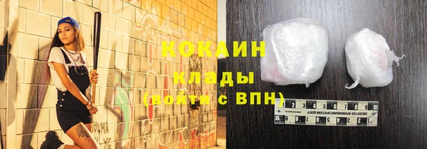 прущие грибы Приозерск