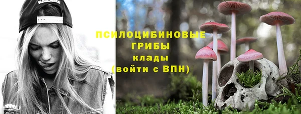 молекула духа Пролетарск
